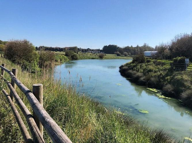 Le Cocon De Nacre - A 300M De La Plage - Wifi Courseulles-sur-Mer Kültér fotó