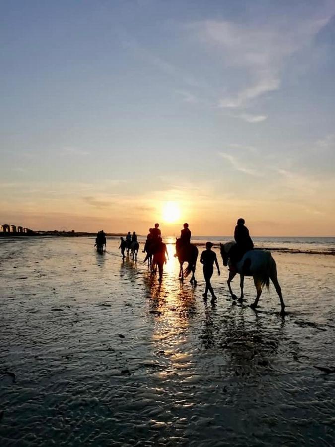 Le Cocon De Nacre - A 300M De La Plage - Wifi Courseulles-sur-Mer Kültér fotó